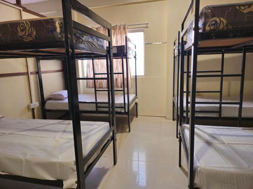 a room with four bunk beds in a room at KSHIPRA GUEST HOUSE in Ujjain