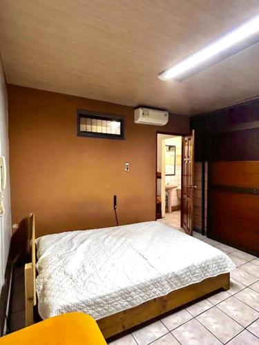 ein Schlafzimmer mit einem großen Bett in einem Zimmer in der Unterkunft Mini Apartamentos Amueblados y Equipados Paulina in San Isidro