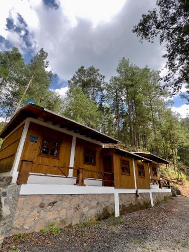 a house in the middle of a forest at Los Azufres Spa Natural in Los Azufres