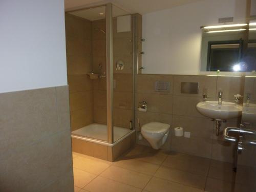 een badkamer met een douche, een toilet en een wastafel bij Landgasthof Zum Hasen in Kleinwallstadt