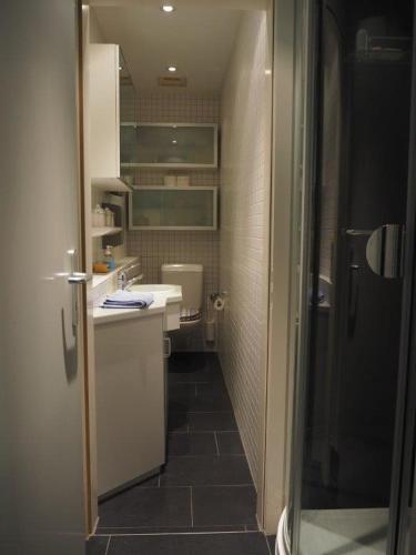 a bathroom with a sink and a toilet at Bedroom cum office with shared shower in Zug's Old Town in Zug