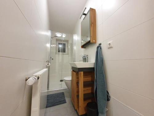 La salle de bains est pourvue d'un lavabo, de toilettes et d'une douche. dans l'établissement Ferienwohnungen Winkler, à Bischofswiesen