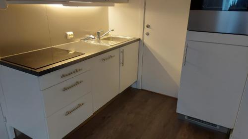 uma cozinha branca com um lavatório e um frigorífico em Oslo modern center em Oslo