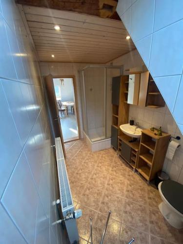 a small bathroom with a sink and a toilet at Perfekte Auszeit im Erzgebirge in Sayda