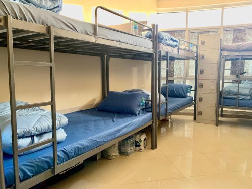 Cette chambre comprend 3 lits superposés avec des oreillers bleus. dans l'établissement Falcon Living Hostel, à Dubaï