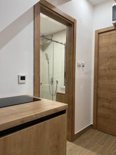a bathroom with a shower and a counter top at Zlatni Odmor (Centar) in Zlatibor