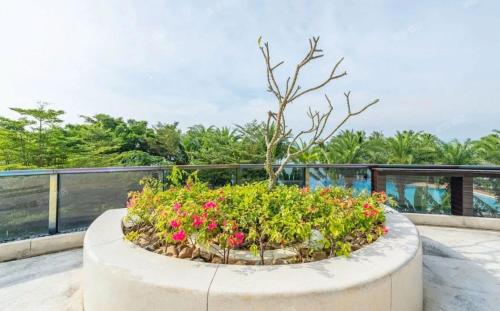 Сад в Sanya Romantic Journey Sea Resort & Spa