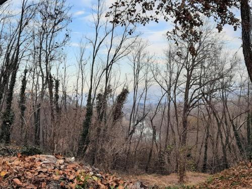 Casa Vacanze Selva – Photos 4