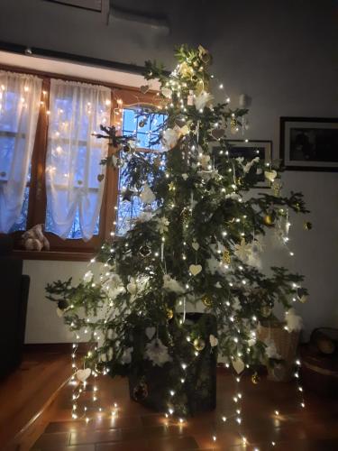Casa Vacanze Selva – Photos 2