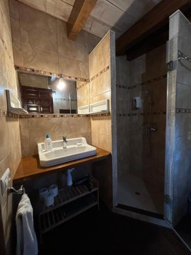 a bathroom with a sink and a shower at Villa Paquita Loft in Deltebre