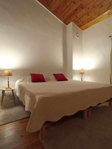 une chambre avec un grand lit avec deux oreillers rouges dans l'établissement Appartement de campagne à Limans, à Limans