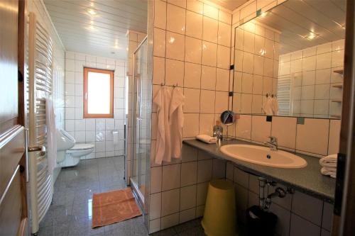 a bathroom with a sink and a toilet at Ponyferienhof Eder in Hengersberg