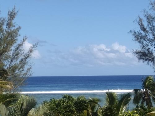 a view of the ocean from a beach with palm trees at Te Moana Nui Villas in Arorangi