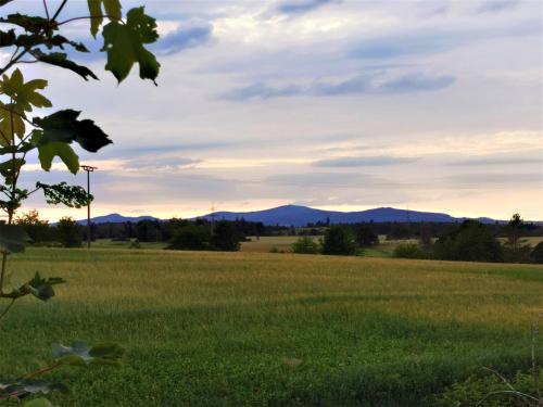 a field of grass with mountains in the background at Ferienhaus "Hirschsieh" in Stiege