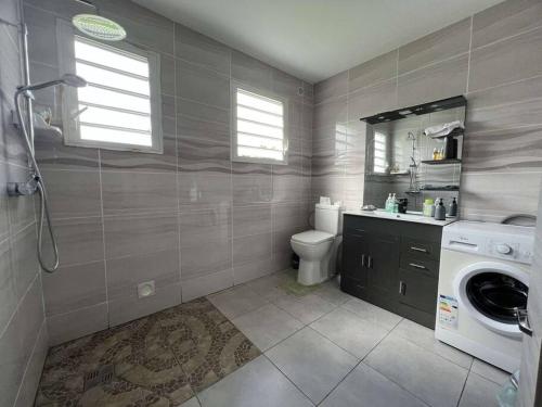 La salle de bains est pourvue de toilettes, d'un lavabo et d'un lave-linge. dans l'établissement Appartement vue panoramique +spa, à Saint-Louis