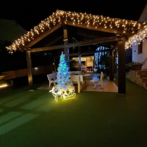 a christmas tree under a pergola with lights at Raco de Lis in La Torre de Claramunt