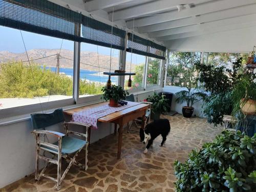 Κατοικίδιο ή κατοικίδια επισκεπτών που μένουν στο AGERAKI