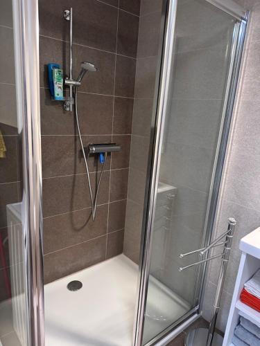 a shower with a glass door in a bathroom at Apartmán Ferula in Stará Lesná