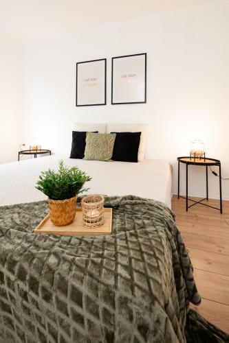 Un dormitorio con una cama y una bandeja con una planta. en Stilvoll Wohnen im Herzen der Stadt, en Steyr