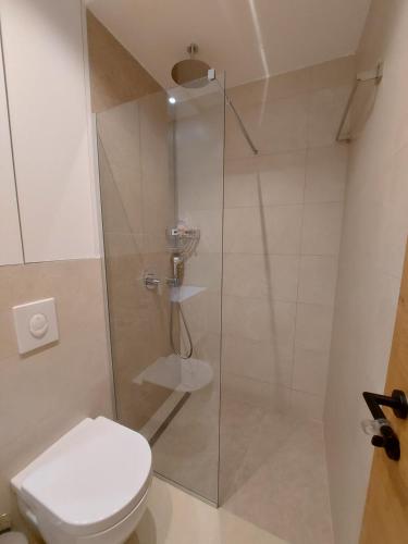 a bathroom with a shower with a toilet at Zlatni javor Apartman 401 in Jahorina