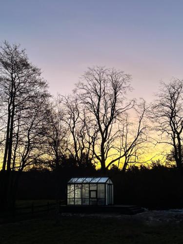 a small greenhouse in a field with trees in the background at Ragnar Glamp Pitrags Lux PREMIUM in Pitragutsiyeme