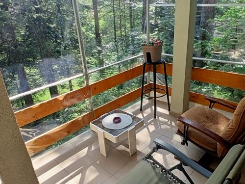 Zahrada ubytování Apartmani Trio