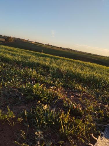 un campo de hierba con el sol brillando en él en Belle appartement en Salé