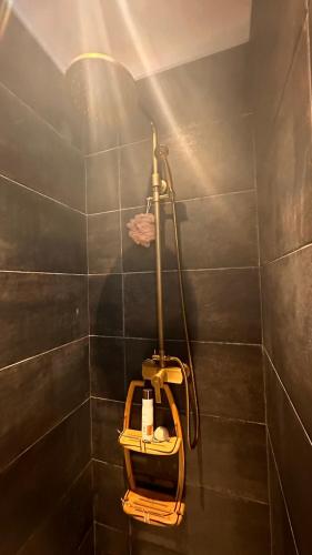 La salle de bains est pourvue d'une douche avec une lumière sur le mur. dans l'établissement *Rivage* Spacieux T2 RDC sur cour:Jardin-Fibre-Netflix-Terrasse, à Pont-de-Metz