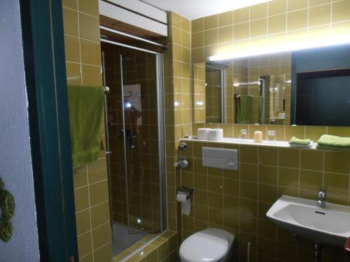 a bathroom with a shower and a toilet and a sink at Ferienwohnung Roland in Balderschwang