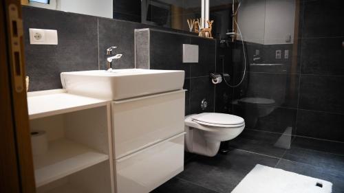 a bathroom with a white sink and a toilet at Sonnige Gartenwohnung in Fritzens