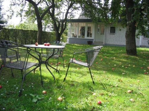 two chairs and a table in a yard with apples on it at Urlaub im Alten Apfelgarten - Ferienwohnung Goldparmäne in Sörup