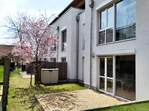 Casa blanca con jardín y árbol en Beim Windmüller App 2,3,4,5, en Ostseebad Koserow