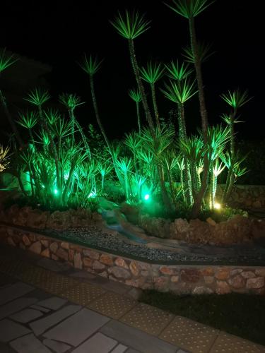a garden with palm trees and lights at night at Makis Nest Apart-Hotel in Vourvourou