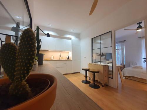 een kamer met een cactus in een pot en een slaapkamer bij RentAdore Atocha Suites in Madrid