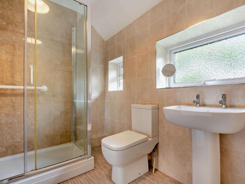 W łazience znajduje się toaleta, umywalka i prysznic. w obiekcie 3 bed in Beddgelert 64657 w mieście Beddgelert