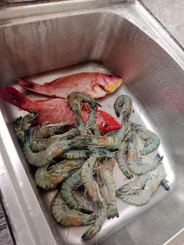 a basket full of crabs and a dead fish at ORA Luxury Villas Hikkaduwa in Hikkaduwa