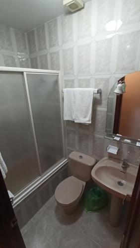 uma casa de banho com um WC, um chuveiro e um lavatório. em Hostal Algaidas em Villanueva de Algaidas