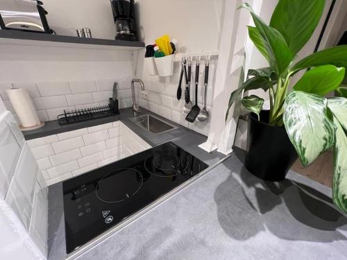 a kitchen with a stove and a sink and a plant at Bergische Idylle mit Sauna in Wermelskirchen