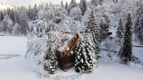 una casa coperta di neve vicino ad alcuni alberi di Ozero Vita a Nizhniy Studenyy