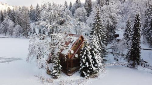 a house covered in snow next to some trees at Ozero Vita in Nizhniy Studenyy
