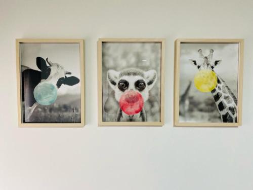 cuatro fotos de jirafas en cuatro cuadros en una pared en APARTAMENTO 3p MENDIVIL MADRID CENTRO, en Madrid