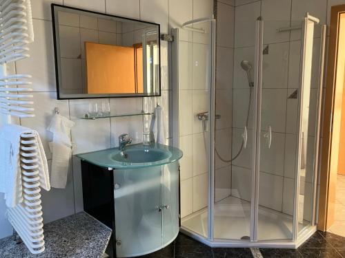 La salle de bains est pourvue d'une douche en verre et d'un lavabo. dans l'établissement Lorena, à Dittelbrunn
