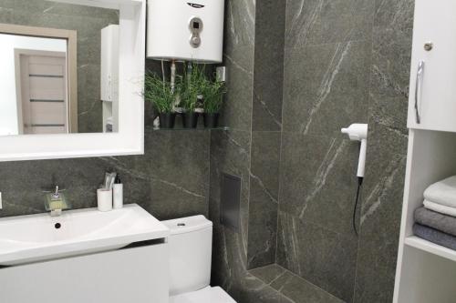 une salle de bain avec toilettes, lavabo et miroir dans l'établissement Двухкомнатная квартира на самом берегу реки, à Pavlodar