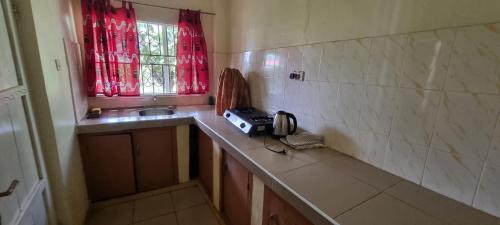a kitchen with a counter and a sink and a window at Mutolere Coffee Pot Guest Houses in Kisoro