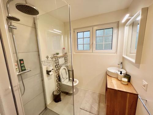 La salle de bains est pourvue d'une douche, de toilettes et d'un lavabo. dans l'établissement Chalet in Lausanne newly renovated with river, à Lausanne