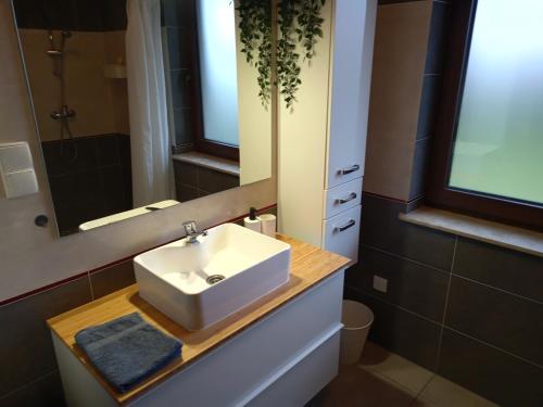 a bathroom with a white sink and a mirror at Dom Mazurska Apartamenty in Rydzewo