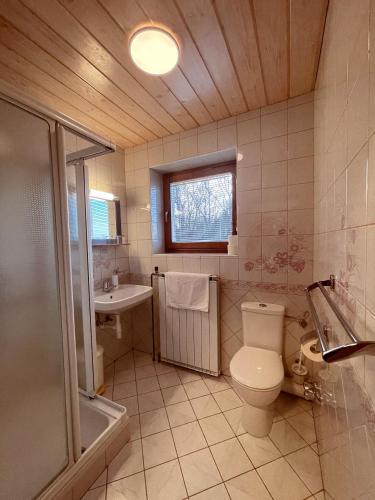 a bathroom with a toilet and a sink at Rooms and Apartments Panker in Moravske Toplice