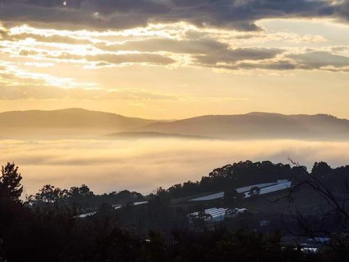a view of a foggy field with mountains in the background at Treetops apartment for 2 in Silvan