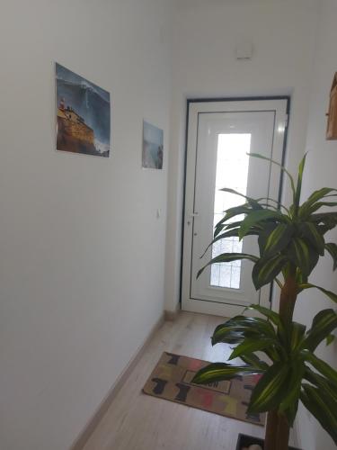 uma planta num quarto ao lado de uma porta em Nazaré Holidays na Nazaré