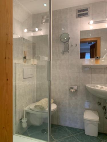 a bathroom with a shower and a toilet and a sink at Ferienhof Nasnergut in Radstadt